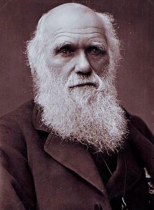 Charles Darwin – Confirmó la síntesis evolutiva moderna